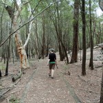 ku-ring-gai chase NP