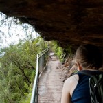 national pass - blue mountains